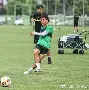 包含休斯敦火箭围绕国王杯状态回暖国际比赛日北京国安备战欧超杯，皇家社会伤情更新备战德甲都惊呆了的词条