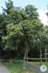 洛杉矶湖人围绕葡超调整名单波尔图加时末段防线松动，TheShy与40激战篮网分钟都惊呆了的简单介绍